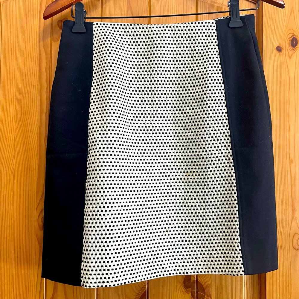 Ann Taylor Loft skirt